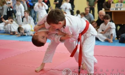 [Wyniki zawodów] IV. Osowski Turniej Pierwszego Kroku Dzieci w Judo oraz Mistrzostwa Gimnazjum nr 33 [21.03.0215]