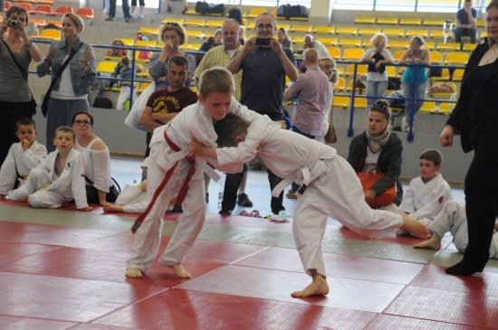 [Wyniki zawodów] IV Turniej Judo o Puchar Burmistrza Gminy Żukowo [01.06.2014]