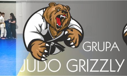 [Grizzly Judo Power] Informacje o projekcie